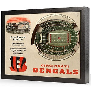 Cincinnati Bengals --- 25-Layer StadiumView 3D Wall Art