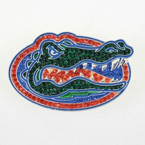 Florida Gators --- Crystal Logo Pin