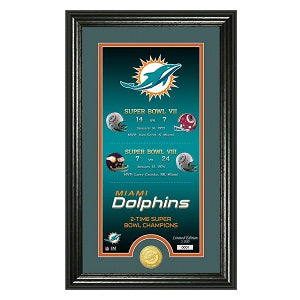 Miami Dolphins --- Legacy Bronze Coin Photo Mint