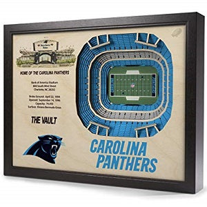 Carolina Panthers --- 25-Layer StadiumView 3D Wall Art