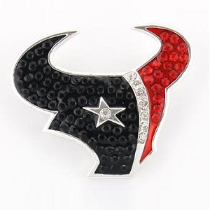 Houston Texans --- Crystal Logo Pin
