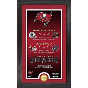 Tampa Bay Buccaneers --- Legacy Bronze Coin Photo Mint